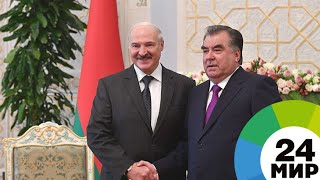 Беларусь и Таджикистан подпишут на бизнес-форуме взаимовыгодные контракты - МИР 24