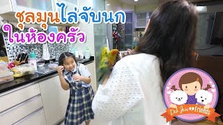 เด็กจิ๋วชุลมุนไล่จับนกในห้องครัว
