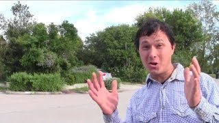 Small Space Permaculture Food Forest Garden on 1/4 Acre Home Lot