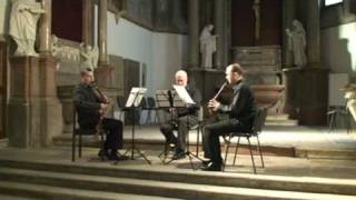 Lotz Trio - Basset Horn trio - Robert Šebesta, Ronald Šebesta, Andreas Fink