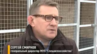 В Ярославле строят вольеры для передержки животных