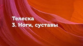 Телесная психология. Ноги.
