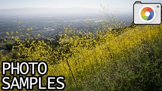 Nikon 1 V1 with 1 NIKKOR 10mm f/2.8 lens samples