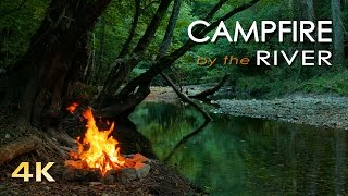 4K Campfire by the River - Relaxing Fireplace & Nature Sounds - Robin Birdsong - UHD Video - 2160p