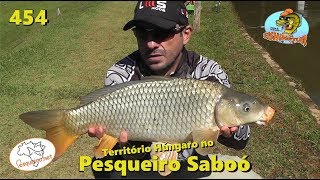O reinado húngaro no Pesqueiro Saboó - Fishingtur na TV 454