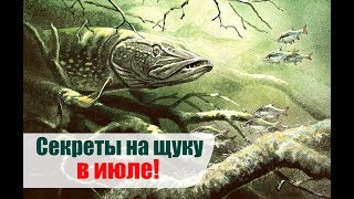 Как ловить щуку в июле? На что ловить щуку в июле? Где ловить щуку в июле?