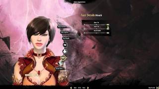 Guild Wars 2 - Female Human Elementalist Character Creation 3 of 4