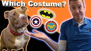 Which Halloween Costume will Penny Pick?!