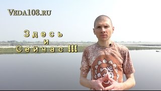 Как жить здесь и сейчас, жить в настоящем