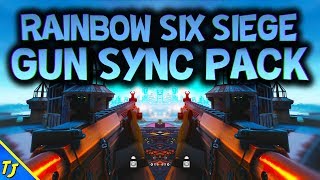 Rainbow Six Siege Gun Sync Pack | Y2S3 - Theme Park [1080p60]