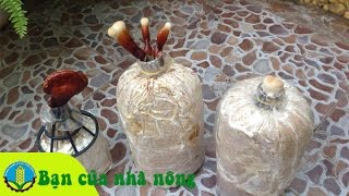 Kinh nghiệm, kỹ thuật làm phôi nấm linh chi theo công nghệ mới