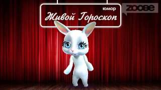 Смешная Зайка Zoobe :) Вот что значит настоящая подруга!