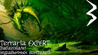 Terraria - EXPERT [COOP][#3]:Забаговали муравьиных воителей