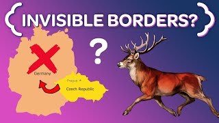 Why These Czech Deer NEVER Cross the German Border