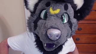 The Furry Fandom Tour