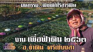มหกรรมพืชผักไร้สารพิษ "งานเพื่อฟ้าดิน ๒๕๖๓" อ.ข้าดิน  ศรีเชียงสา//สามอาชีพฯ