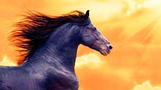 КАК нарисовать портрет ЛОШАДИ