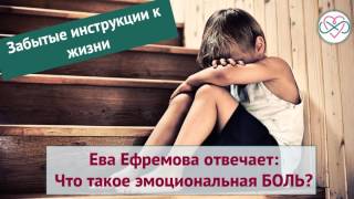 Что такое эмоциональная боль? (Ева Ефремова, забытые инструкции к жизни)