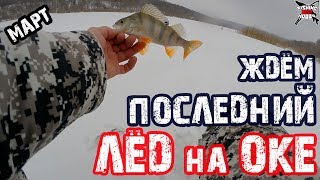 ЗИМНЯЯ РЫБАЛКА в МАРТЕ на ОКЕ! Ждем последний лед! Ловля