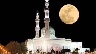 الشيخ وليد ابراهيم ولد الهدى فالكائنات ضياء وفم الزمان تبسم وثنا