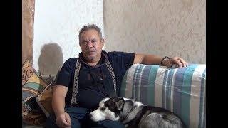 Идеальный коровий корм - силос, пахнущий яблоками.