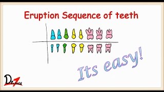 Eruption of teeth