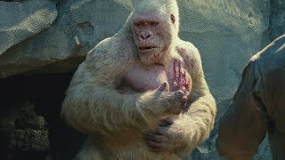 Джордж убил медведя гризли | Джордж боится | Рэмпейдж (2018)