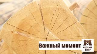 Дома из кедра ручной рубки от компании "Медвежий лог".