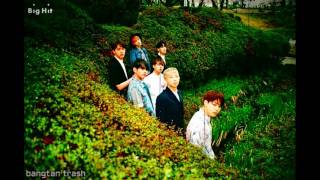 BTS Butterfly Rain Version