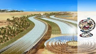 Qatar's Ambitious Plan to Turn the Desert Green