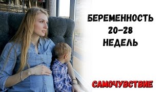 БЕРЕМЕННОСТЬ 20-28 НЕДЕЛЬ || МОЛОЧНИЦА