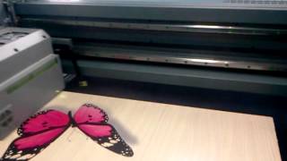Принтер HandTop 3200. Печать на ДСП