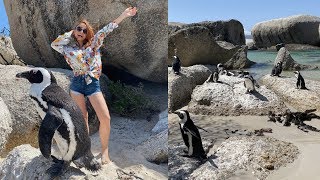 Afrika'da Penguenlerle Doğum Günü Kutlamak????