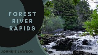 Nature Sounds-Forest Birds Singing-Sound of Water-Relaxing Natural Music of Nature for Sleeping