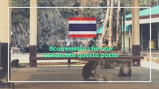 Thailandia con solo mezzi pubblici | Attaccate dalle scimmie! Da Chiang Rai a Mae Sai