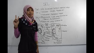 Video Pembelajaran Biologi Sel