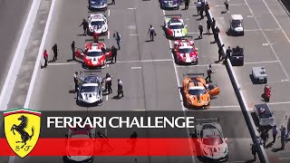 Ferrari Challenge North America – Sonoma 2021, Trofeo Pirelli Race 2