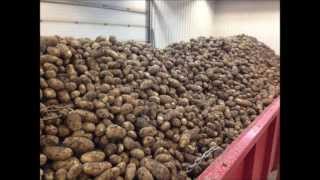 Harvest 2013