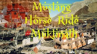 Horse Ride At Mustang || Muktinath || By Camerato Robben || Travel Moment