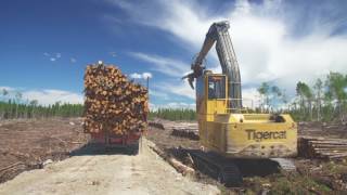 Chargeuse et camion de transport de bois en longueur