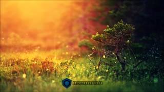 nExow - Garden of Love