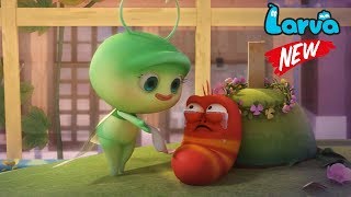 Larva 2018 Cartoon Full Movie | Episodes Mayfly  | Larva Terbaru New Season