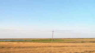 Самый север Крыма / Степь / Сиваш