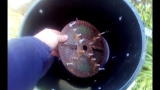 Самодельная дробилка для яблок. Очень мощная и простая. Видео от Василия.