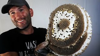 AMAZING Yellow Jackets Ground Nest Removal