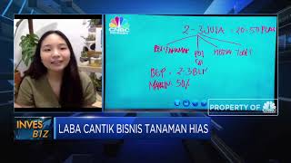 Tips Raup Laba Cantik Bisnis Tanaman Hias
