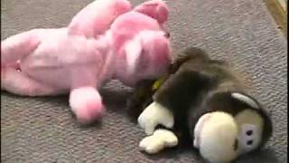 LOL Rollovers, the Laugh Out Loud Rolling Pet at OrangeOnions