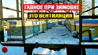 Зимовка пчел Проверка вентиляции в улье Летки зимой