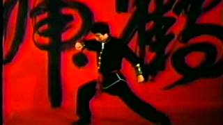 Tiger And Crane Style (Hung Gar) Chiu Chi-Ling
