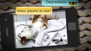 Cat Content - Sms von meinem Kater von Katja Berlin